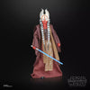 Hasbro - Star Wars - The Black Series - Shaak Ti
