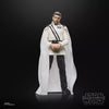 Hasbro - Star Wars - The Black Series - Director Orson Krennic (Dress Uniform)