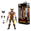 Hasbro - Marvel Legends Series - Wolverine (costume marrone)