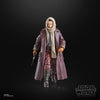 Hasbro - Star Wars The Black Series - Skeleton Crew Jod Na Nawood