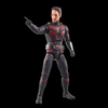 Hasbro - Marvel Legends Series - Ant-Man