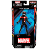 Hasbro - Marvel Legends Series - Future Ant-Man