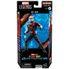 Hasbro - Marvel Legends Series - Ant-Man