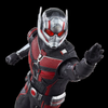 Hasbro - Marvel Legends Series - Ant-Man