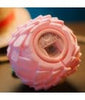One Piece Netflix Lamp Flower-Flower Fruit 17 cm