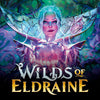 Magic The Gathering - Wilds Of Eldraine - Set Booster 30pcs - FR