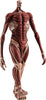 Good Smile Company - Attack on Titan - Pop Up Parade PVC Statue Army: Suit Ver. 26 cm