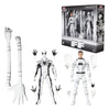 Future Foundation Marvel Legends Action Figure 2-Pack Mister Fantastic & Spider-Man 15 cm