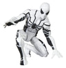 Future Foundation Marvel Legends Action Figure 2-Pack Mister Fantastic & Spider-Man 15 cm