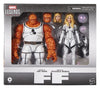 Future Foundation Marvel Legends Action Figure 2-Pack The Thing & Invisible Woman 15 cm