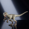 Jurassic World Hammond Collection Action Figure Atrociraptor Ghost