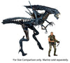 Neca - Aliens - Ultra Deluxe Action Figure Alien Queen 38 cm