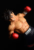 Hajime no Ippo PVC Statue 1/6 Takeshi Sendou Finish Blow 29 cm