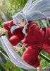 Inuyasha PVC Statue 1/7 Inuyasha 25 cm