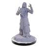 Wizkids - D&D Nolzur's Marvelous Miniatures miniature Unpainted Elf Wizards