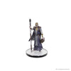 Wizkids - D&D Icons of the Realms pre-painted Miniatures Planescape: Baldur's Gate 3 - Character Boxed Set