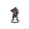 Wizkids - D&D Icons of the Realms: Adventures from Baldur's Gate - Booster Brick (8)