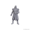 Wizkids - D&D Nolzur's Marvelous Miniatures - Unpainted Miniature Jaheira & Halsin