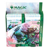 Magic the Gathering - Bloomburrow - Collector Booster Display (12) - DE