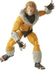 Hasbro Marvel Legends Series X-Men Sabretooth 6-Inch Collectible Action Figure