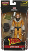 Hasbro Marvel Legends Series X-Men Sabretooth 6-Inch Collectible Action Figure