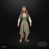 Hasbro - Star Wars - The Black Series - Princess Leia (Ewok Village)