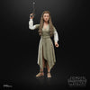 Hasbro - Star Wars - The Black Series - Princess Leia (Ewok Village)