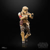 Hasbro - Star Wars - The Black Series - Shoretrooper 15 cm