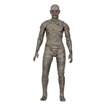 Universal Monsters Action Figure Ultimate The Mummy (Color) 18cm