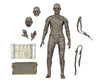 Universal Monsters Action Figure Ultimate The Mummy (Color) 18cm