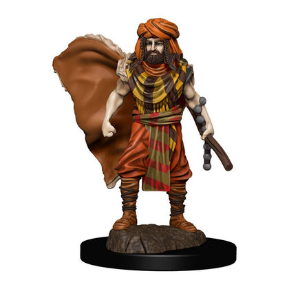 D&D Icons of the Realms Premium Miniature pre-painted Human Druid Male