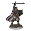 D&D Icons of the Realms Premium Miniature pre-painted Male Human Paladin