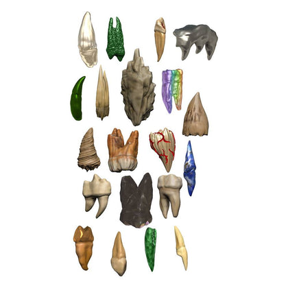 D&D Icons of the Realms pre-painted Miniatures Teeth of Dahlver-Nar Bite-Sized Artifact